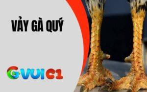 Vảy Gà Quý