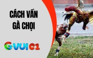 Cách Vần Gà Chọi