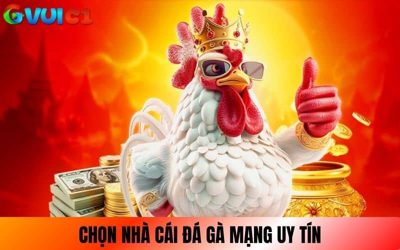 Chọn nhà cái đá gà mạng uy tín là yếu tố quan trọng Chọn nhà cái đá gà mạng uy tín là yếu tố quan trọng