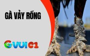 Gà Vảy Rồng