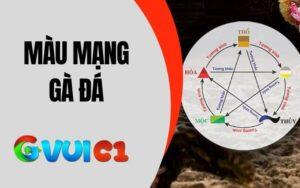 Màu mạng gà đá