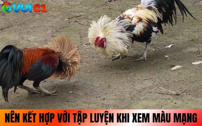 Nên kết hợp với nhiều yếu tố tập luyện khi xem màu mạng Nên kết hợp với nhiều yếu tố tập luyện khi xem màu mạng