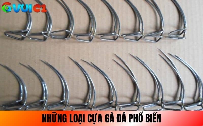 Những loại cựa gà đá phổ biến trên trường