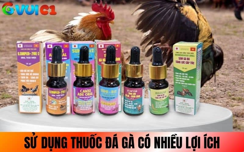 Sử dụng thuốc nuôi gà đá mang lại lợi ích vượt trội Sử dụng thuốc nuôi gà đá mang lại lợi ích vượt trội