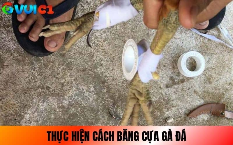 Thực hiện các bước băng cựa gà đúng cách