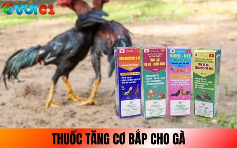 Thuốc bổ tăng cơ giúp gà phát triển cơ bắp Thuốc bổ tăng cơ giúp gà phát triển cơ bắp