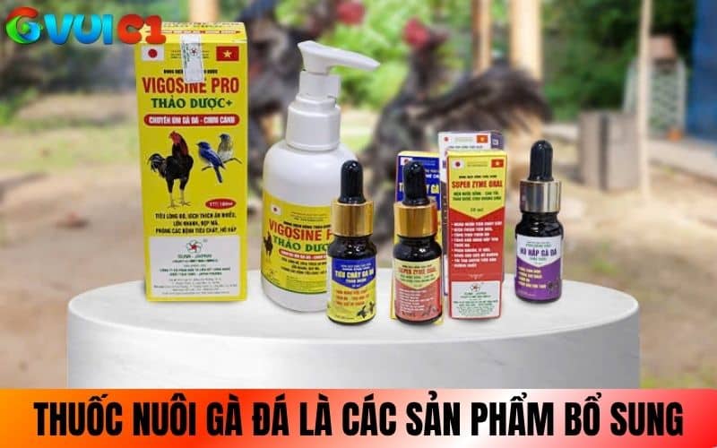 Thuốc nuôi gà đá là các sản phẩm bổ sung sức khỏe cho gà Thuốc nuôi gà đá là các sản phẩm bổ sung sức khỏe cho gà