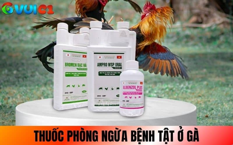 Thuốc phòng ngừa các bệnh bất thường ở gà Thuốc phòng ngừa các bệnh bất thường ở gà