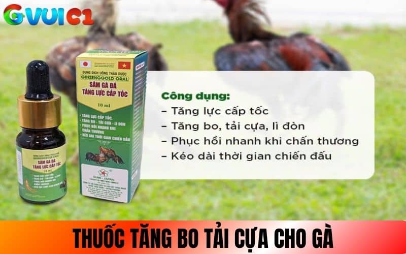 Thuốc tăng bo tải cựa giúp gà duy trì lực đá Thuốc tăng bo tải cựa giúp gà duy trì lực đá