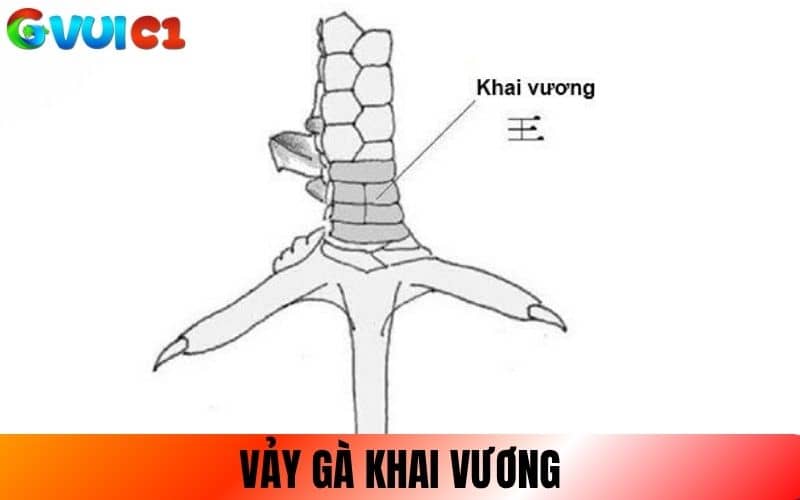 Vảy Khai Vương có cấu trúc vảy liền mạch