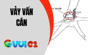 Vảy Vấn Cán