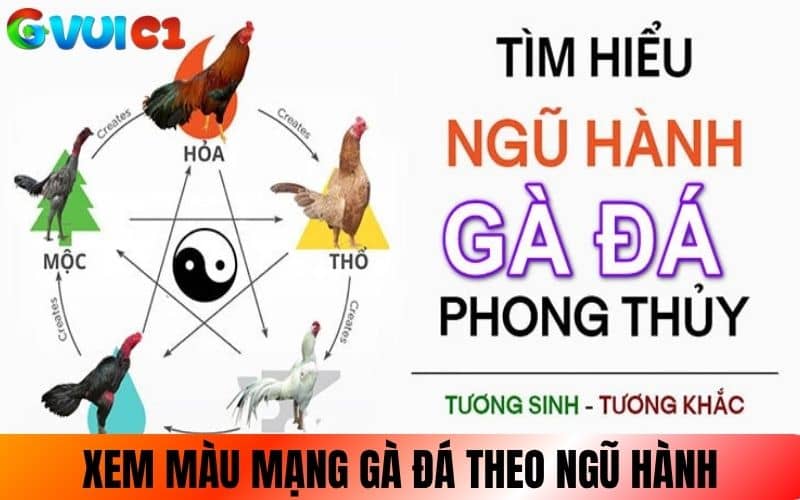 Xem màu mạng gà đá theo Ngũ Hành Xem màu mạng gà đá theo Ngũ Hành