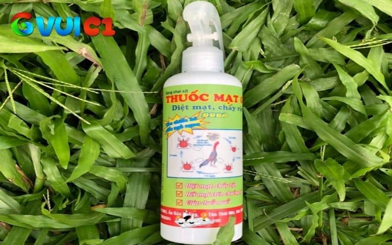 Cách diệt mạt gà bằng phương pháp thuốc Cách diệt mạt gà bằng phương pháp thuốc