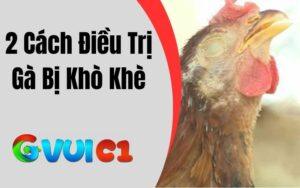 Gà bị khò khè