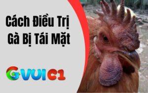 Gà Bị Tái Mặt