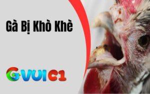 Gà Bị Khò Khè