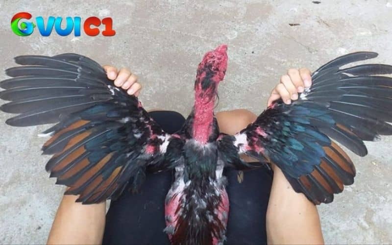 Nếu bạn cảm thấy cánh gà có dấu hiệu bất thường cần kiểm tra ngay Nếu bạn cảm thấy cánh gà có dấu hiệu bất thường cần kiểm tra ngay